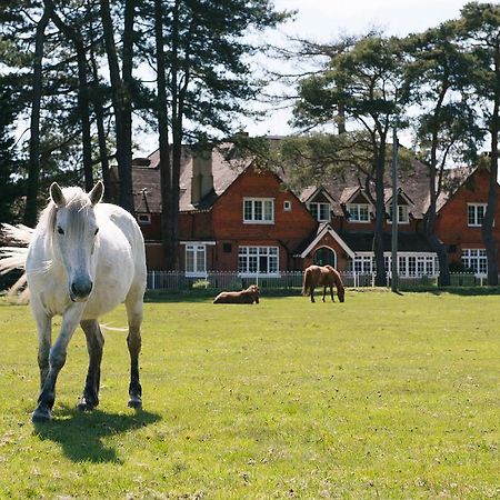 Beaulieu Hotel ลินด์เฮิร์สต์ ภายนอก รูปภาพ
