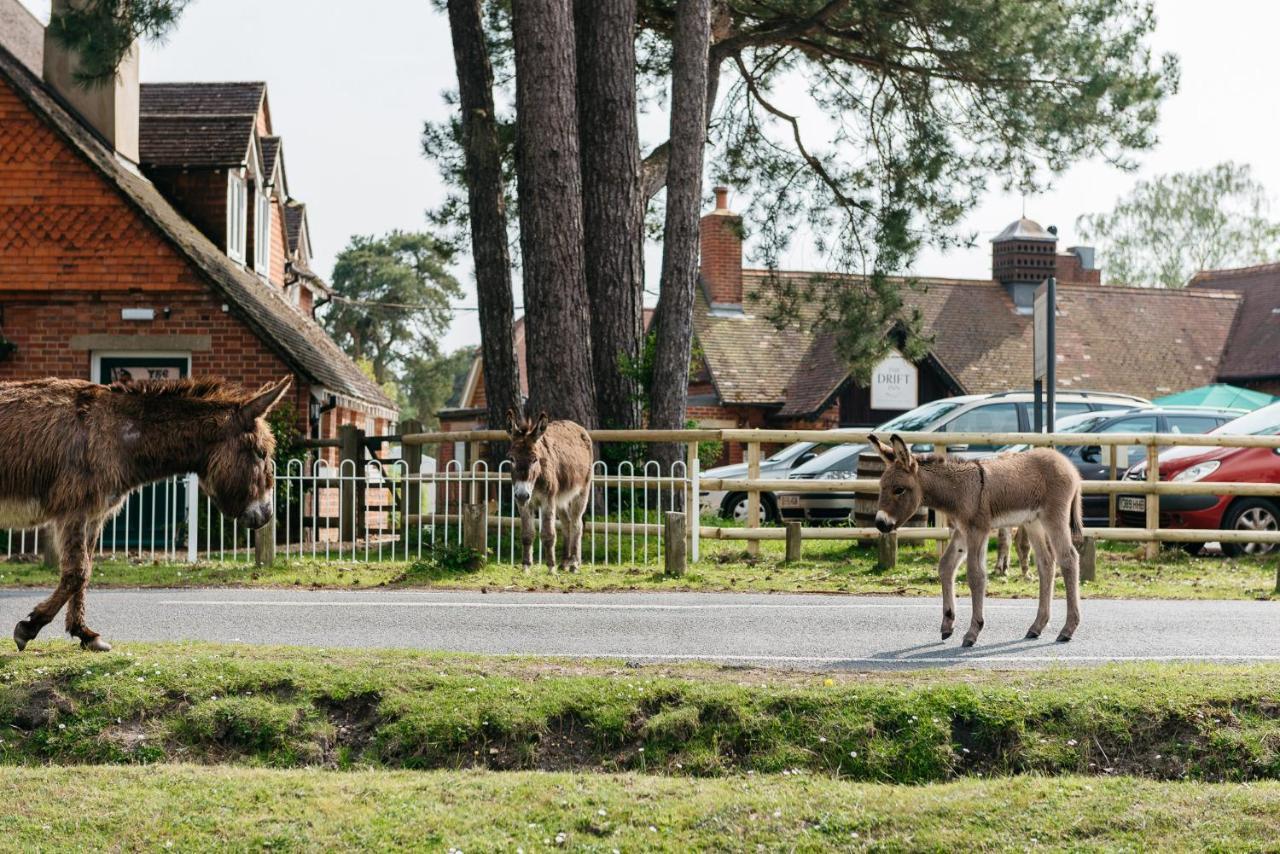 Beaulieu Hotel ลินด์เฮิร์สต์ ภายนอก รูปภาพ